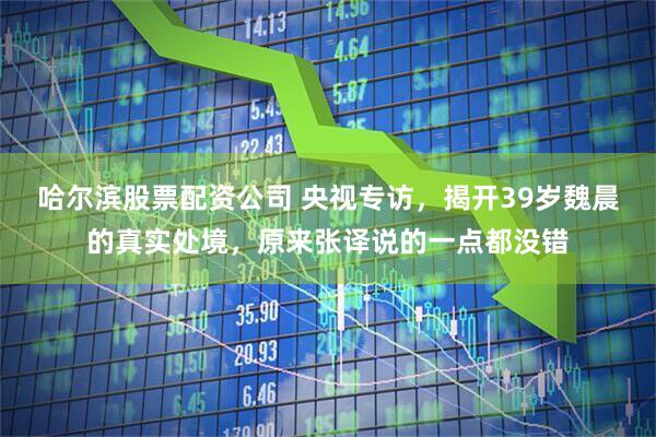 哈尔滨股票配资公司 央视专访，揭开39岁魏晨的真实处境，原来张译说的一点都没错